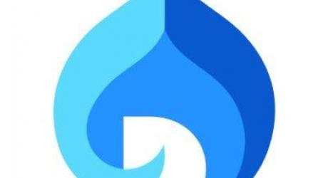 Drupal India Association logo